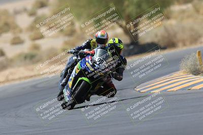 media/May-14-2023-SoCal Trackdays (Sun) [[024eb53b40]]/Turn 5 Tree of Life (1125am)/